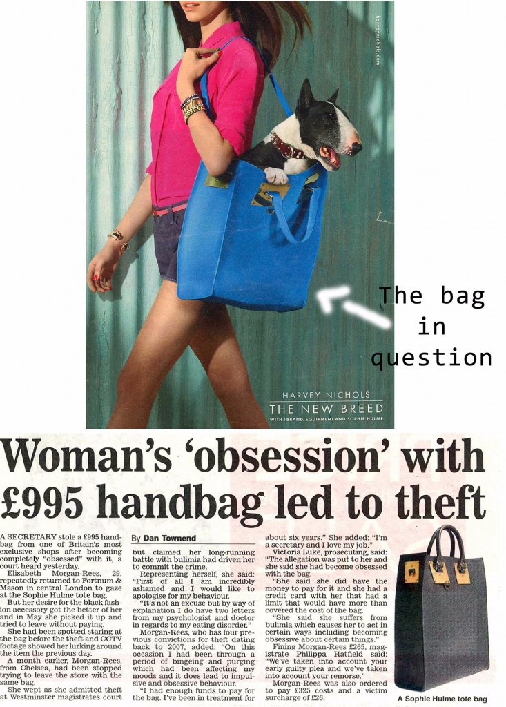 Bag theft - the Sophie Hume tote